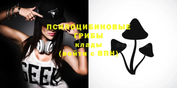 молекула духа Железногорск-Илимский